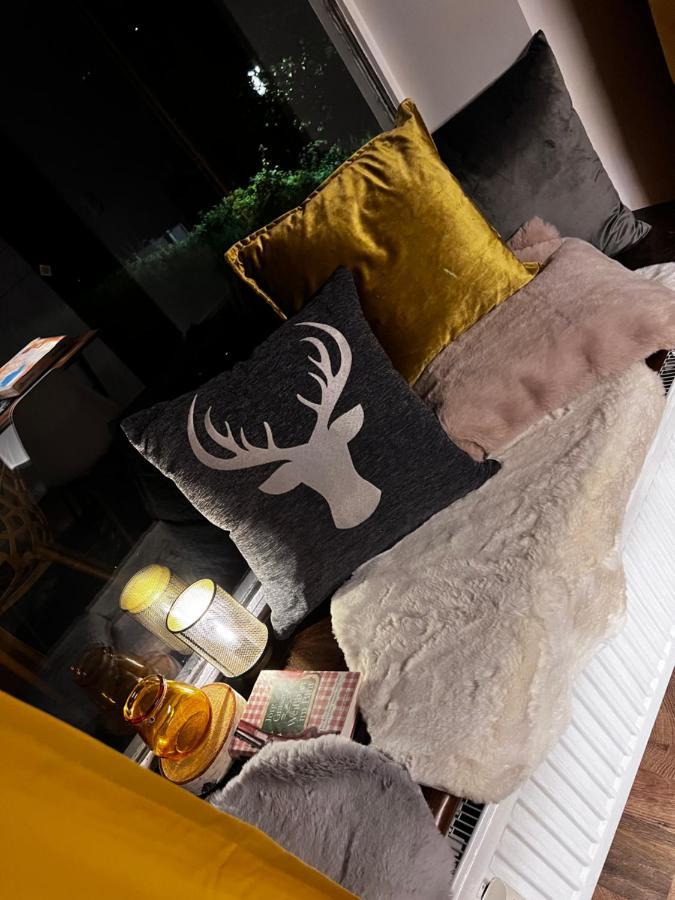 Bavaria Mountain Lodge Ski Arber Osser Bayrischer Wald Designer Ferienwohnung لوبيرغ المظهر الخارجي الصورة