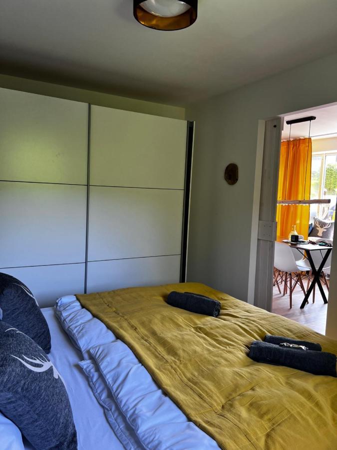 Bavaria Mountain Lodge Ski Arber Osser Bayrischer Wald Designer Ferienwohnung لوبيرغ المظهر الخارجي الصورة